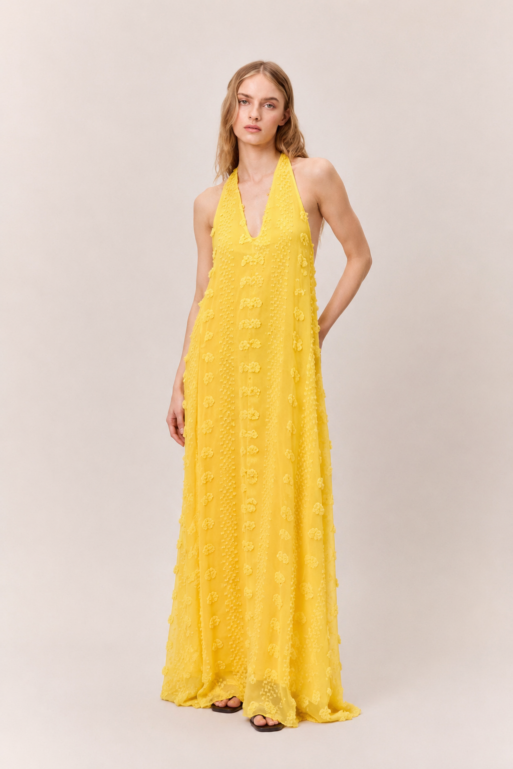 Mimosa