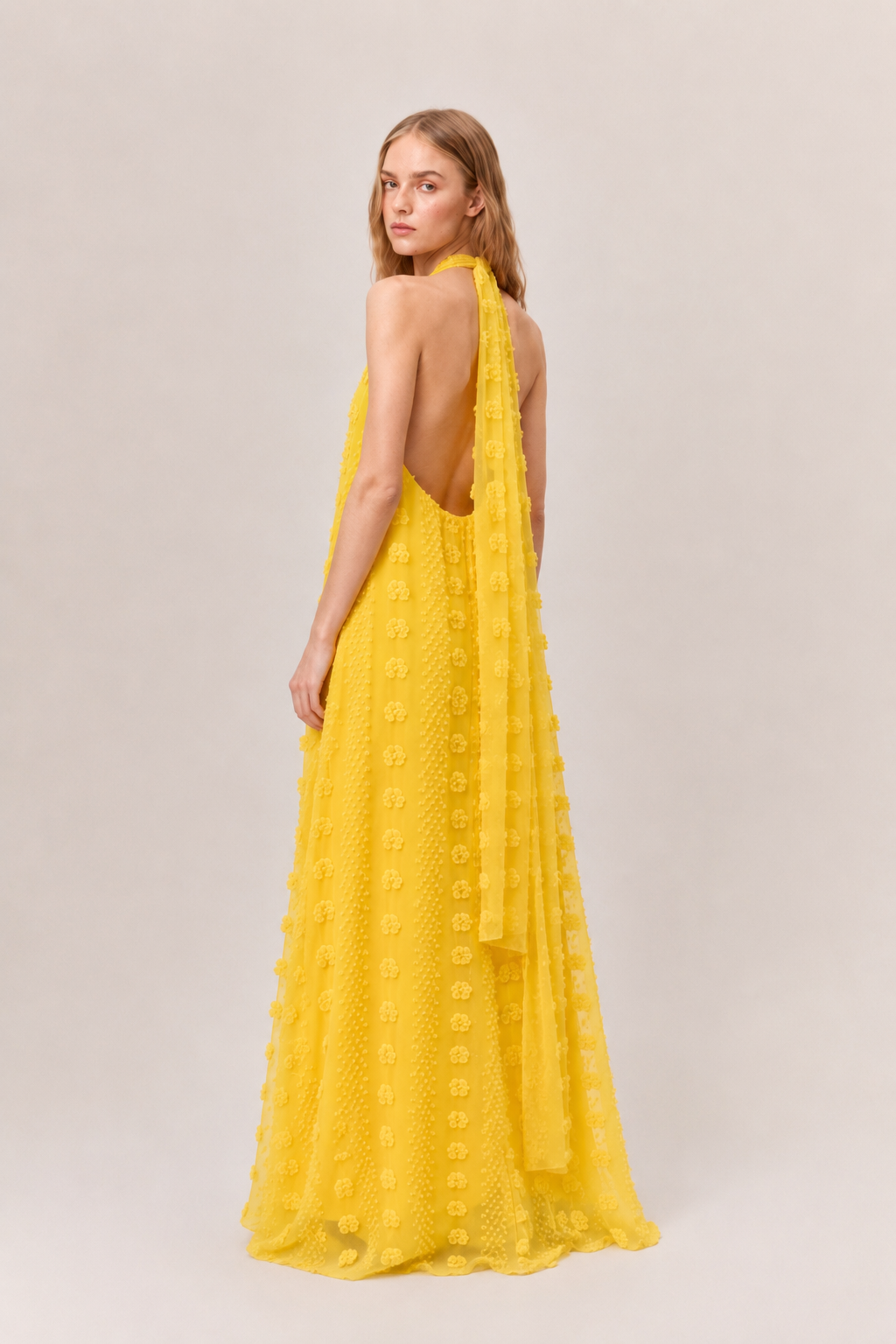 Mimosa