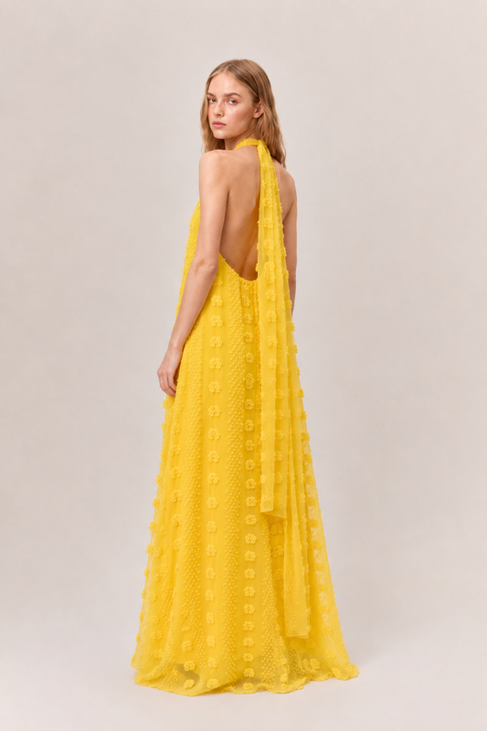 Mimosa